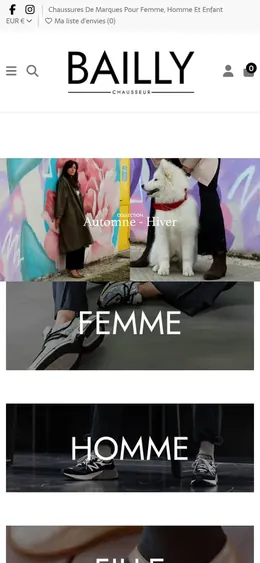 Site de Bailly Store et Les 2 Zèbres sur téléphone