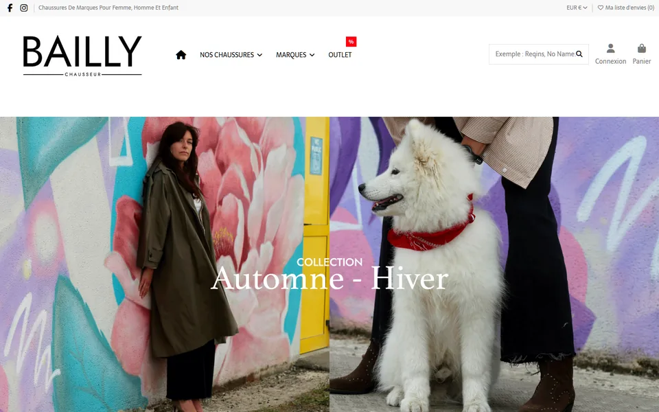 Site de Bailly Store et Les 2 Zèbres sur ordinateur