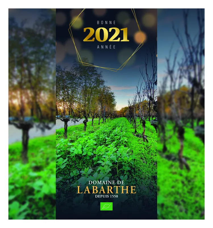 Carte de vœux 2021