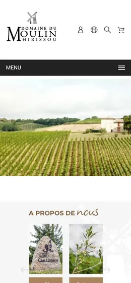 Site de Domaine du Moulin sur téléphone