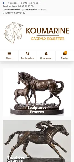 Site de Koumarine sur téléphone