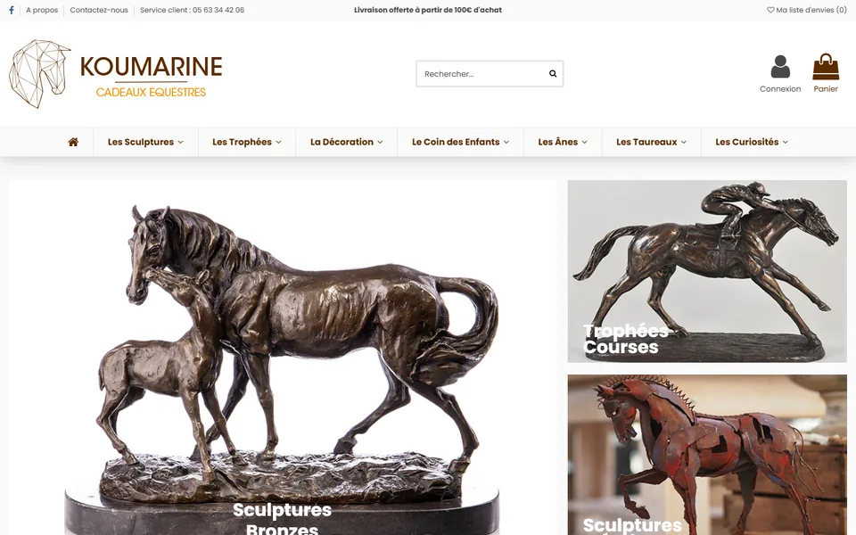 Site de Koumarine sur ordinateur