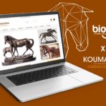 Koumarine - Vente en ligne